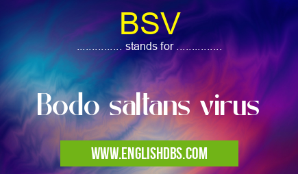 BSV