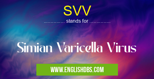 SVV means Simian Varicella Virus SVV