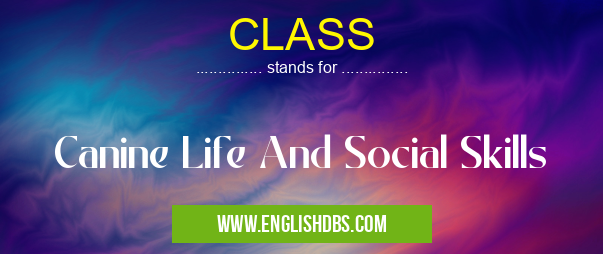 CLASS means Canine Life And Social Skills CLASS