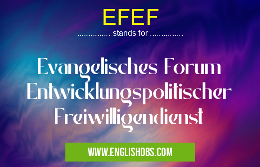 EFEF means Evangelisches Forum Entwicklungspolitischer Freiwilligendienst EFEF