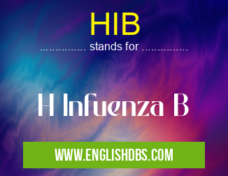 HIB means H Infuenza B HIB