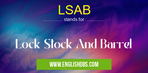 LSAB means Lock Stock And Barrel LSAB