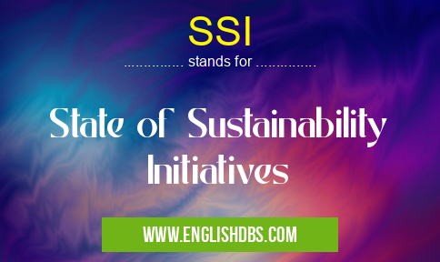SSI means State of Sustainability Initiatives SSI