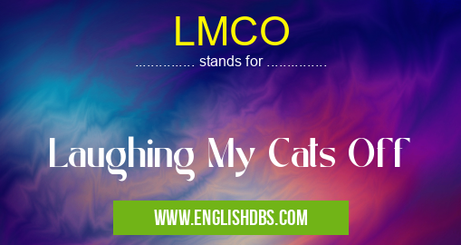 LMCO means Laughing My Cats Off LMCO