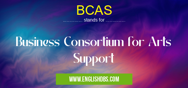 BCAS means Business Consortium for Arts Support BCAS