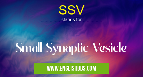 SSV means Small Synaptic Vesicle SSV