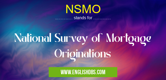 NSMO means National Survey of Mortgage Originations NSMO
