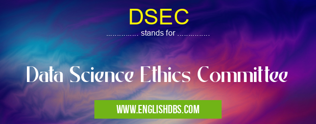 DSEC means Data Science Ethics Committee DSEC