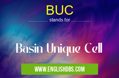 BUC means Basin Unique Cell BUC