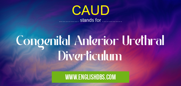 CAUD means Congenital Anterior Urethral Diverticulum CAUD