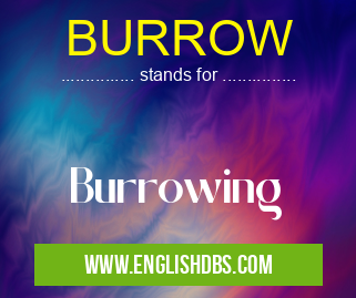 BURROW means Burrowing BURROW