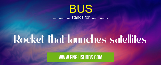 BUS means Rocket that launches satellites BUS
