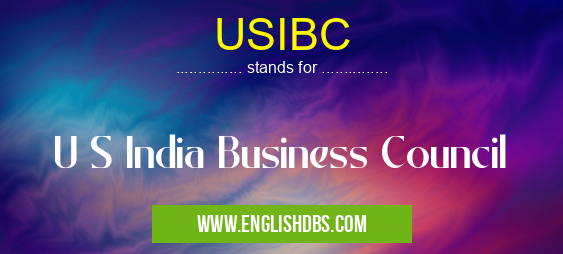 USIBC means U S India Business Council USIBC