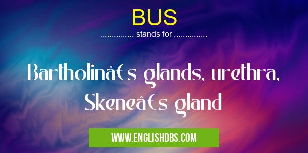 BUS means Bartholin’s glands, urethra, Skene’s gland BUS