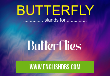 BUTTERFLY means Butterflies BUTTERFLY