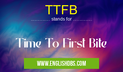 TTFB means Time To First Bite TTFB