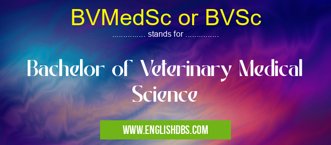 BVMedSc or BVSc means Bachelor of Veterinary Medical Science BVMedSc or BVSc