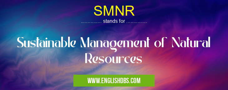 SMNR means Sustainable Management of Natural Resources SMNR