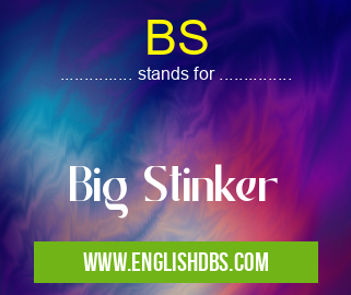 BS means Big Stinker BS