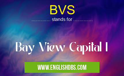 BVS means Bay View Capital I BVS