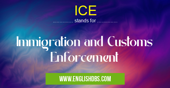 ICE means Immigration and Customs Enforcement ICE
