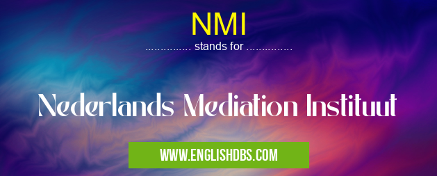 NMI means Nederlands Mediation Instituut NMI