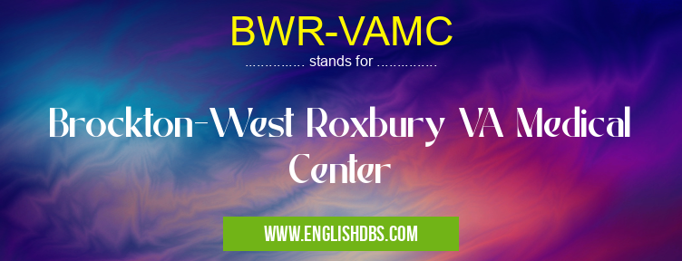 BWR-VAMC means Brockton-West Roxbury VA Medical Center BWR-VAMC