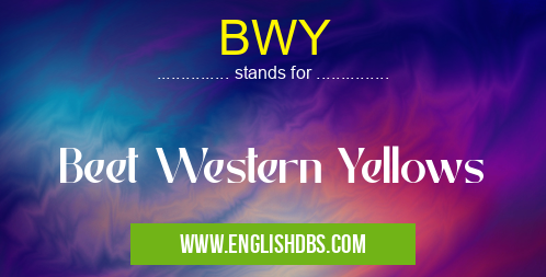 BWY means Beet Western Yellows BWY