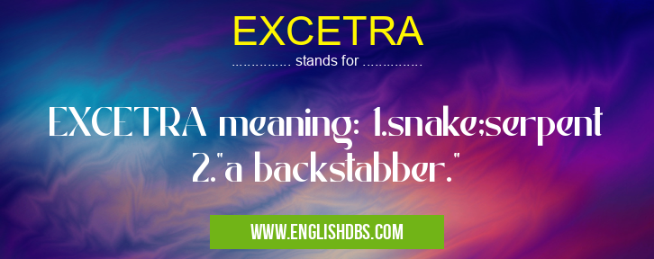 EXCETRA means EXCETRA meaning: 1.snake;serpent 2."a backstabber." EXCETRA