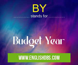 BY means Budget Year BY
