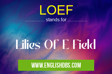 LOEF means Lilies Of E Field LOEF