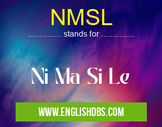 NMSL means Ni Ma Si Le NMSL