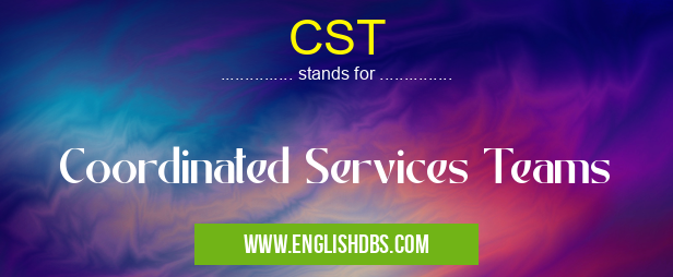 CST means Coordinated Services Teams CST