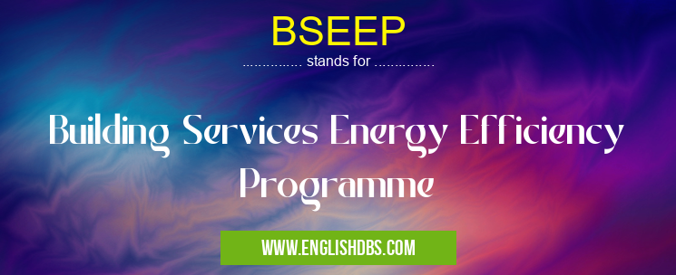 BSEEP means Building Services Energy Efficiency Programme BSEEP
