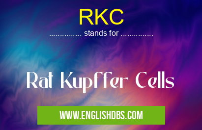 RKC means Rat Kupffer Cells RKC