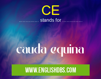 CE means cauda equina CE