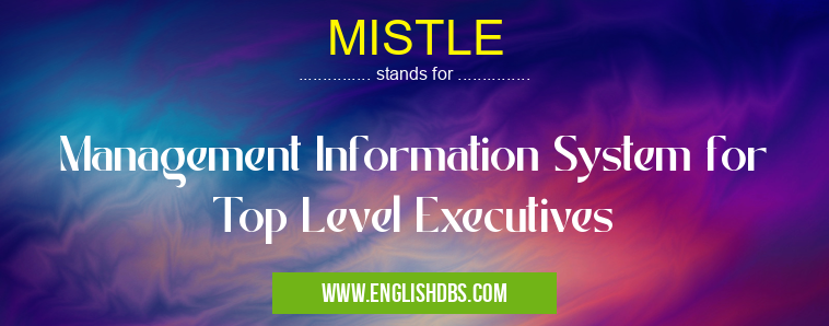 MISTLE means Management Information System for Top Level Executives MISTLE