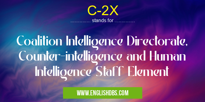 C-2X means Coalition Intelligence Directorate, Counter-intelligence and Human Intelligence Staff Element C-2X