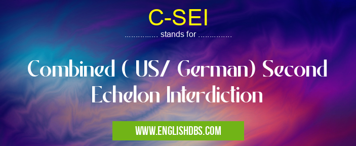 C-SEI means Combined ( US/ German) Second Echelon Interdiction C-SEI