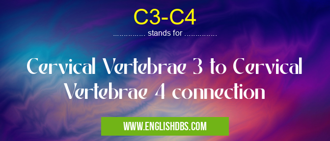C3-C4 means Cervical Vertebrae 3 to Cervical Vertebrae 4 connection C3-C4