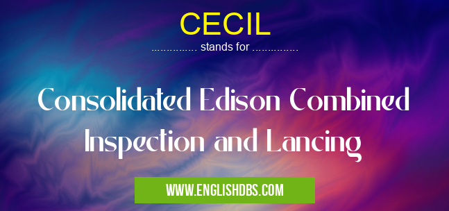 CECIL means Consolidated Edison Combined Inspection and Lancing CECIL