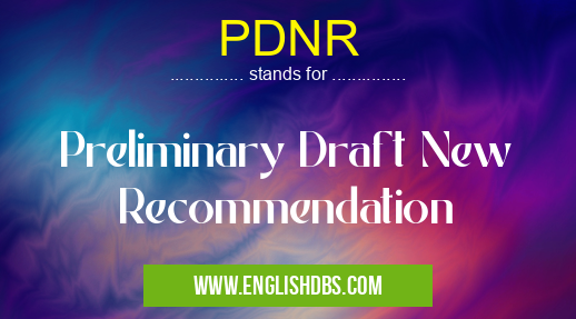 PDNR means Preliminary Draft New Recommendation PDNR