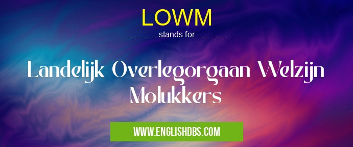 LOWM means Landelijk Overlegorgaan Welzijn Molukkers LOWM