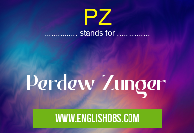 PZ means Perdew Zunger PZ
