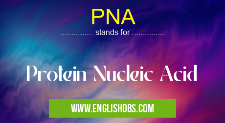 PNA means Protein Nucleic Acid PNA