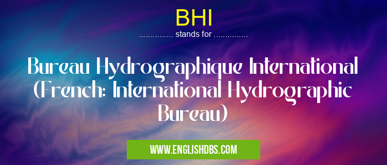 BHI means Bureau Hydrographique International (French: International Hydrographic Bureau) BHI