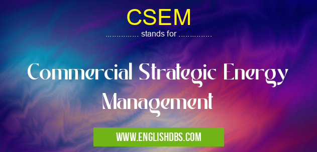 CSEM means Commercial Strategic Energy Management CSEM