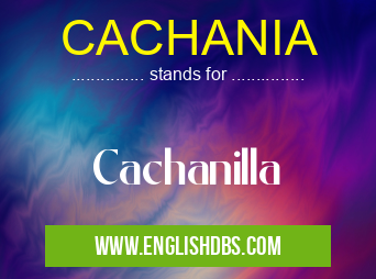 CACHANIA means Cachanilla CACHANIA