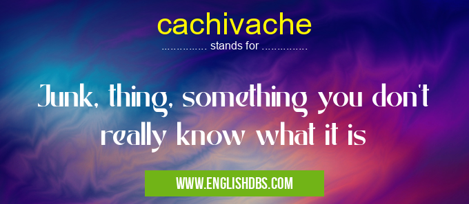 cachivache means Junk, thing, something you don't really know what it is cachivache