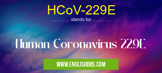HCoV-229E means Human Coronavirus 229E HCoV-229E